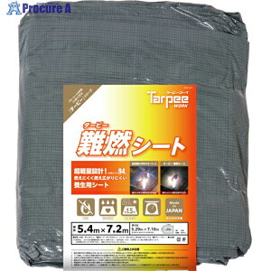  ^[s[ RV[g O[ (HCp) 5.4m×7.2m NNS-5472 1 306-0471