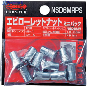 �G�r ���[���b�g�i�b�g �~�j�p�b�N(�����E�X�e�B�[����) ��3.5 M6×1.0(10��) NSD6MRPS 1�p�b�N ��809-4813 ��YA513