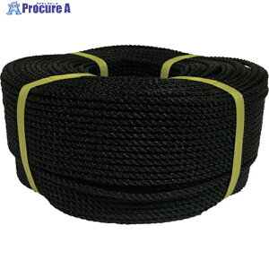 ���^�J���C�N ���[�v PE���[�v���� 5��×200m �u���b�N PE-94 (5X200M) 1�� ��113-5439