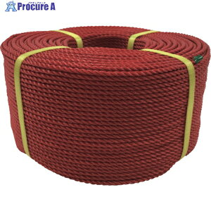 ���^�J���C�N ���[�v PE���[�v���� 4��×200m ���b�h PE-81 1�� ��113-5444