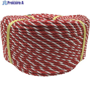 ���^�J���C�N ���[�v PE���[�v���� 6��×200m �R�E�n�N PE-105 1�� ��113-5471