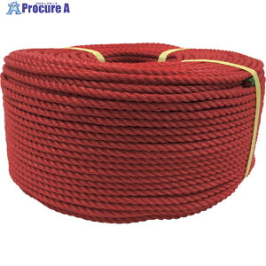 ���^�J���C�N ���[�v PE���[�v���� 6��×200m ���b�h PE-101 1�� ��113-5504