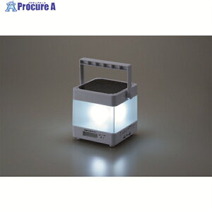 CATEYE LED@\^ 138.5×138.5×148 PGS-089 1 160-7727