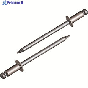 Gr uChxbg(XeX/XeB[) 4-8(25{) GRpbN NSS48MP 1pbN 202-9303 YA513