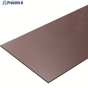 TRUSCO �|���J�[�{�l�[�g����1000mm 2000mm ����2mm �u���E���X���[�N PCB2-100200-BR 1�� ����207-8748 ���ԏ�n��
