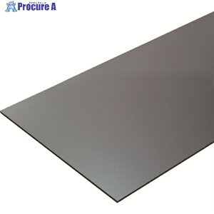 TRUSCO |J[{l[g450mm 450mm 3mm O[X[N PCB3-4545-GY 1 207-8797