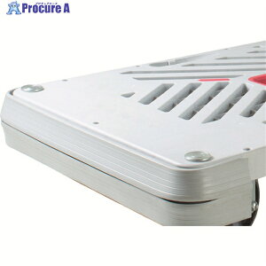 �_���f�B �I�v�V�����o���p�[ �_���f�BX�EP�V���[�Y �^�C�vXA�EPA��p W905×D605 PA-BP 1�� ��208-2176