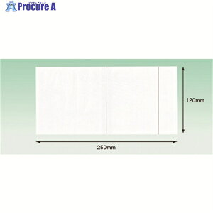 psX fo[pbN 4n^Cv PEXbg(4TCYp)120×250 100 Sʌ PA-053T 1pbN 215-8753