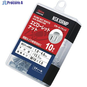 �G�r ���[���b�g�i�b�g(�����E�X�`�[����) �G�R�p�b�N ��4.0 M10X1.5(10��) NSK10RMP 1�p�b�N ��243-0257 ��YA513