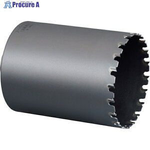 ~iK |NbNX[p[^RAh Jb^[ 120×130mm PCSM120C 1{ 246-1607