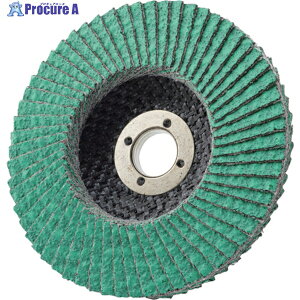 AC PGA-X �t���b�v�f�B�X�N Z PGAX10015-Z-80 10�� ��351-7861