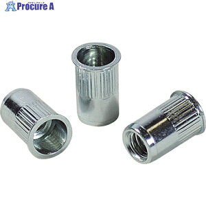 �G�r ���[���b�g�i�b�g(�����E�X�e�B�[����) ��2.5 M5×0.8(1000��) NSK5MR 1�� ��372-5031 ��YA513