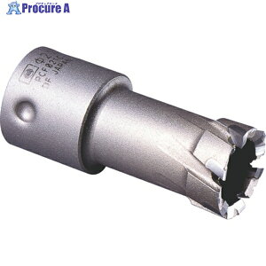�~���i�K �[���z�[���\�[ �|���J�b�^�[ ��16 PCF016C 1�{ ��379-1955