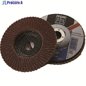 PFERD |t@tbvfBXNSGA 100 #60 PFF100SGA941652 10 451-9949