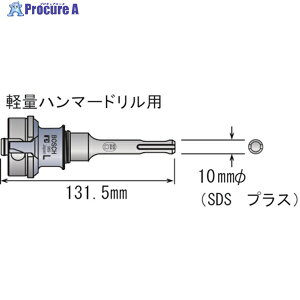 �{�b�V�� �|���N���b�N�V�����N SDS L PC-SDS/L 1�{ ��733-1495