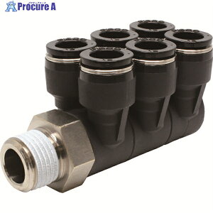 PISCO `[utBbeBO gvu`GC `[u12 ڑaR1/2 PAT12-04 1 809-5298