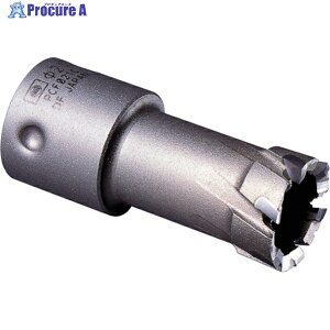 �~���i�K �[���z�[���\�[ �|���J�b�^�[ ��26 PCF026C 1�{ ��811-3869