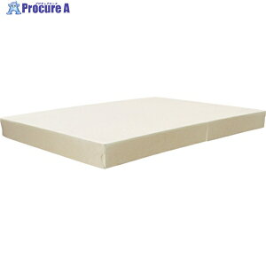 TRUSCO XNGApbg pLbv P-CAP 1 818-9360