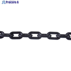 �j�b�T�`�F�C�� �v���J���[�`�F�� 30m �� PW60-BK 1�{ ��127-0855
