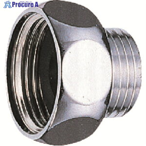 SANEI 20×13A_v^[ PT25-5 1 166-6289yϕsz