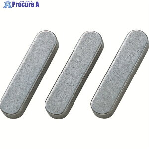 �Z�C�L ���s�L�[ ����S50C 1�� (10��) PR0855 1�� ��194-8277