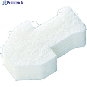 TN S|p}[J[ɑ ֐c (10) P-PKKJ 1 384-8175