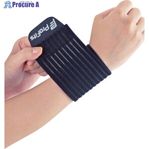 sbv vEtBbc e[sOT|[^[ p PS323 1 390-2545