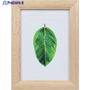 Kenko 1250172 ʐ^ S̖ i` PS-GM-NA PS-GM-NA 1 414-1073yϕsz