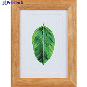 Kenko 1250174 ʐ^ S̖ `[N PS-GM-TI PS-GM-TI 1 414-4167yϕsz