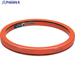 ^C[ ]}[ Cg^Cv IW 1000kg a1000mm PTL-100 (1000KG IW) 1 500-3393