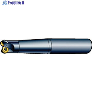 SANDVIK �R���~��300 ���ʃt���C�X�J�b�^�[(440) R300-016A20L-08L (440) 1�� ��574-9751 ��KO521