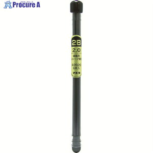 tGL zpV[vyV2.0mm֐c 2B (6{) R2B20-H 1pbN 818-5658