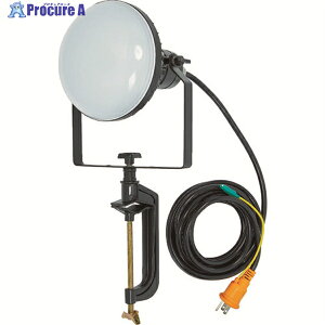 TRUSCO LED������ DELKURO �o�C�X�^�C�v 50W 10m �A�[�X�t 2�c3�c���p�^�C�v RTLE-510EP-V 1�� ��114-5823
