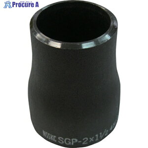 BENKAN RCSGP|ǐW[T[40AX25A RC-SGP-40A-25A (1 1/2X1) 1 159-9747