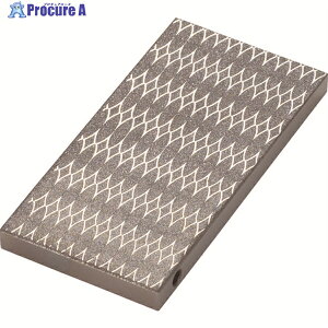 TRUSCO �`�b�v�X�g�[�� 100X50X8 �e�d��p #170 S-2-170 1�� ��286-8156