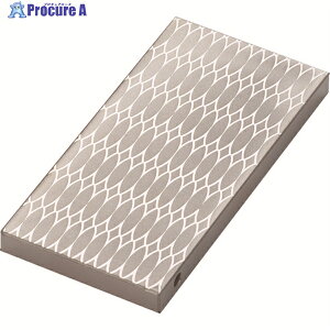 TRUSCO �`�b�v�X�g�[�� 100X50X8 �d��p #700 S-2-700 1�� ��286-8164