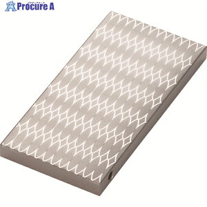 TRUSCO �`�b�v�X�g�[�� 100X50X8 �����d��p #1200 S-2-1200 1�� ��286-8172