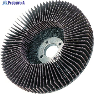 AC ���W�A���f�B�X�N(�z�C��) 50X10 #60 RF5010-60 10�� ��397-2828