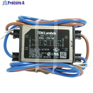 TDK�����_ �m�C�Y�t�B���^ RSEL�V���[�Y ���C���^�C�v 250V 1A RSEL-2001W 1�� ��440-2758