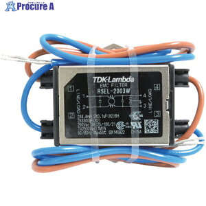 TDK�����_ �m�C�Y�t�B���^ RSEL�V���[�Y ���C���^�C�v 250V 3A RSEL-2003W 1�� ��440-2774