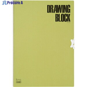 maruman B3 �X�P�b�`�u�b�N �I���[�u�V���[�Y S2A 1�� ��460-7008