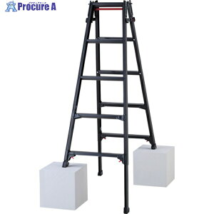 �n�Z�K�� �n�V�S���p�L�k�r��(�u���b�N���[�x��)RYZB-15a(10910) RYZB-15A 1�� ����678-9637