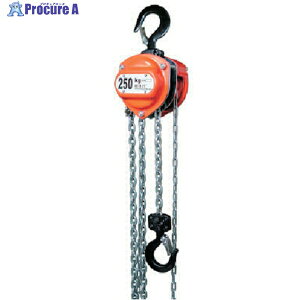 HHH �`�F�[���u���b�N ��i�׏d0.25t �g��2.5m R-CB250 1�� ��808-7221