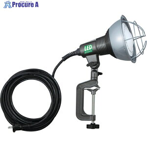 n^ LEDƓ 20WdFLp^Cv d5m RGL-5WL 1 819-4031