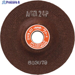 NRS u ZuG[X 100×6×16 A/WA24P SA100616-A24P 25 852-4647