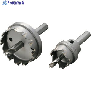 �n�E�XB.M ���d�z���\�[(��]�p) SH-19 1�{ ��161-9221