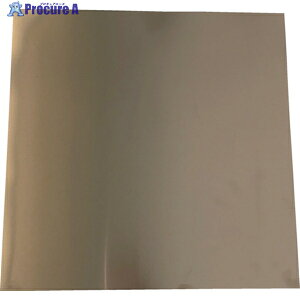 TRUSCO �V���v���[�g �X�e�����X 0.05×50×50mm SISUS0.05-50-50 1�� ��256-2949