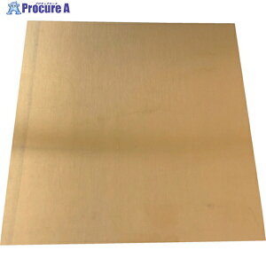 TRUSCO �V���v���[�g �^�J 0.2×50×50mm SISIN0.2-50-50 1�� ��256-4490
