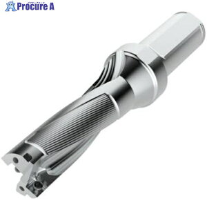 �Z�R �h���� �p�t�H�[�}�b�N�X�h���� 3D�^�C�v SD523 SD523-28-84-32R7 1�� ��428-4663