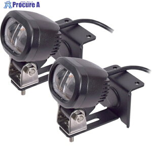 TR[ tH[NtgZ[teBLED[U[2Zbg SFLSLEDSP 1S 434-4204